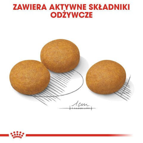 ROYAL CANIN CCN Dermacomfort Maxi - sucha karma dla psów ras dużych z wrażliwą skórą - 12 kg ROYAL CANIN CCN Dermacomfort Maxi - sucha karma dla psów ras dużych z wrażliwą skórą - 12 kg