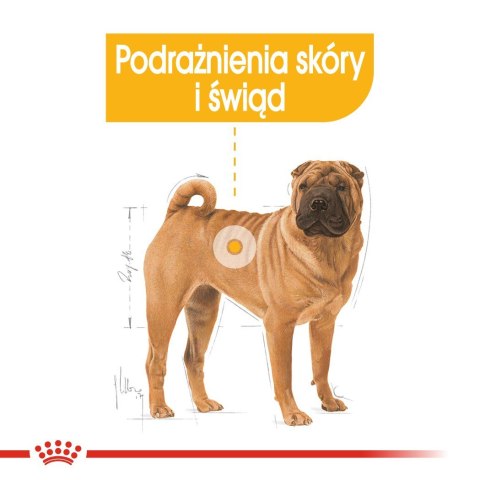 ROYAL CANIN CCN Dermacomfort Medium - sucha karma dla psów ras średnich z wrażliwą skórą - 12 kg ROYAL CANIN CCN Dermacomfort Medium - sucha karma dla psów ras średnich z wrażliwą skórą - 12 kg