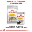 ROYAL CANIN CCN Dermacomfort Medium - sucha karma dla psów ras średnich z wrażliwą skórą - 12 kg