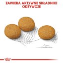 ROYAL CANIN CCN Dermacomfort Medium - sucha karma dla psów ras średnich z wrażliwą skórą - 12 kg