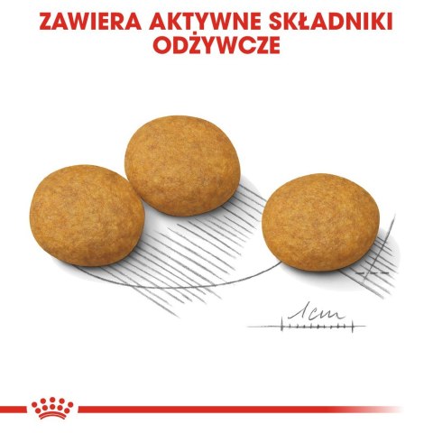 ROYAL CANIN CCN Dermacomfort Medium - sucha karma dla psów ras średnich z wrażliwą skórą - 12 kg ROYAL CANIN CCN Dermacomfort Medium - sucha karma dla psów ras średnich z wrażliwą skórą - 12 kg