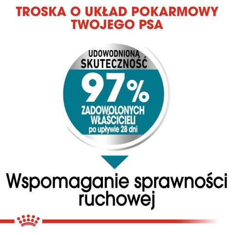 ROYAL CANIN CCN MAXI JOINT CARE - sucha karma dla psa dorosłego - 10kg ROYAL CANIN CCN MAXI JOINT CARE - sucha karma dla psa dorosłego - 10kg