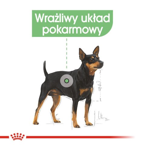 ROYAL CANIN CCN MINI DIGESTIVETIVE CARE - sucha karma dla psa dorosłego - 8kg ROYAL CANIN CCN MINI DIGESTIVETIVE CARE - sucha karma dla psa dorosłego - 8kg