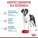 ROYAL CANIN SHN Giant Junior - sucha karma dla szczeniąt - 15kg