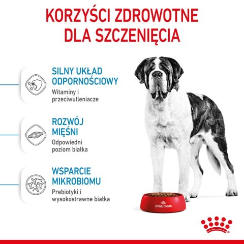 ROYAL CANIN SHN Giant Junior - sucha karma dla szczeniąt - 15kg ROYAL CANIN SHN Giant Junior - sucha karma dla szczeniąt - 15kg