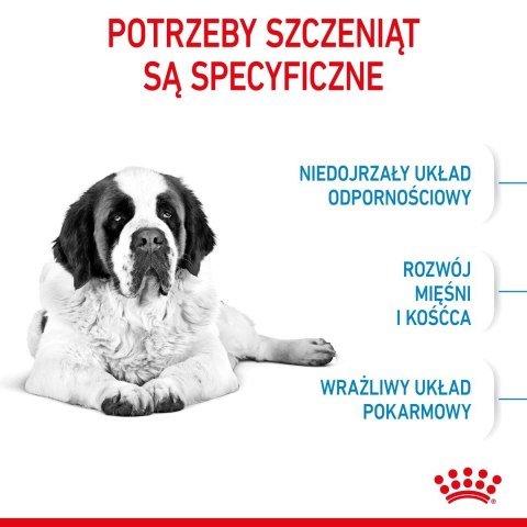 ROYAL CANIN SHN Giant Junior - sucha karma dla szczeniąt - 15kg ROYAL CANIN SHN Giant Junior - sucha karma dla szczeniąt - 15kg