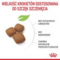 ROYAL CANIN SHN Giant Junior - sucha karma dla szczeniąt - 15kg