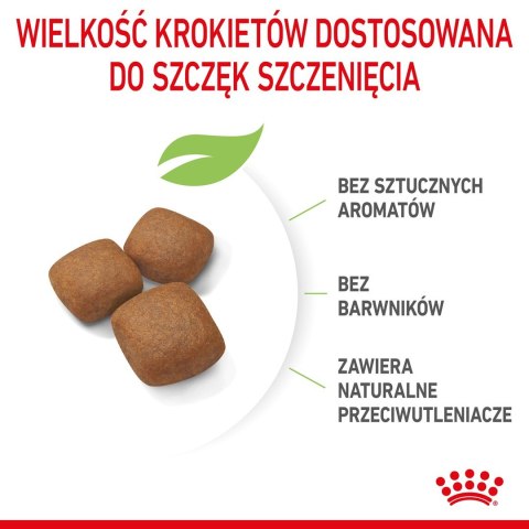 ROYAL CANIN SHN Giant Junior - sucha karma dla szczeniąt - 15kg ROYAL CANIN SHN Giant Junior - sucha karma dla szczeniąt - 15kg