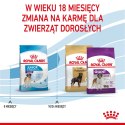 ROYAL CANIN SHN Giant Junior - sucha karma dla szczeniąt - 15kg