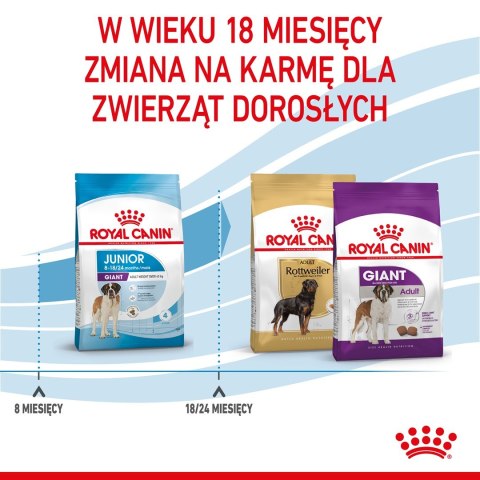 ROYAL CANIN SHN Giant Junior - sucha karma dla szczeniąt - 15kg ROYAL CANIN SHN Giant Junior - sucha karma dla szczeniąt - 15kg