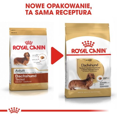 Royal Canin BHN Dachshund Adult - sucha karma dla psa dorosłego - 1,5kg Royal Canin BHN Dachshund Adult - sucha karma dla psa dorosłego - 1,5kg