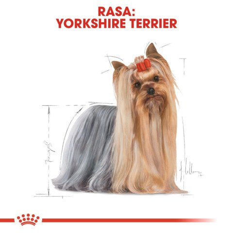 Royal Canin BHN Yorkshire Terrier Adult - sucha karma dla psa dorosłego - 1,5 kg Royal Canin BHN Yorkshire Terrier Adult - sucha karma dla psa dorosłego - 1,5 kg