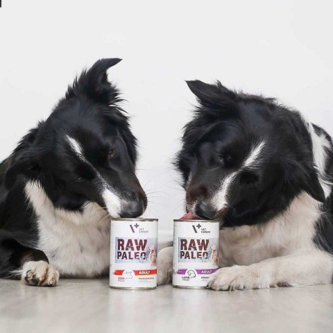 VetExpert Raw Paleo Wołowina Adult Can 400g VetExpert Raw Paleo Wołowina Adult Can 400g