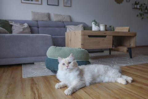 KERBL Łóżko Snuggle Anne, zielone, O 40 cm, wysokość 23 cm KERBL Łóżko Snuggle Anne, zielone, O 40 cm, wysokość 23 cm