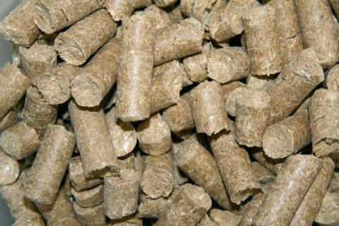 KERBL Smakołyki dla konia Delizia Classic, marchewka, 3 kg KERBL Smakołyki dla konia Delizia Classic, marchewka, 3 kg