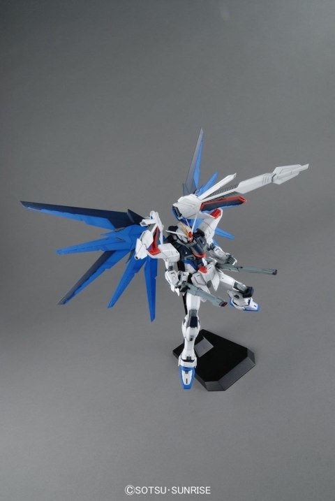 MG 1/100 FREEDOM GUNDAM VER.2.0 BL MG 1/100 FREEDOM GUNDAM VER.2.0 BL