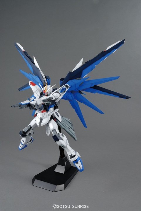 MG 1/100 FREEDOM GUNDAM VER.2.0 BL MG 1/100 FREEDOM GUNDAM VER.2.0 BL
