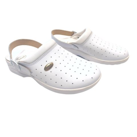 Buty Clog Racy marki Scholl BIAŁY 42 Buty Clog Racy marki Scholl BIAŁY 42