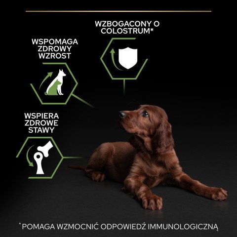PURINA PRO PLAN Puppy Large Athletic - sucha karma dla szczeniąt - 12 kg PURINA PRO PLAN Puppy Large Athletic - sucha karma dla szczeniąt - 12 kg