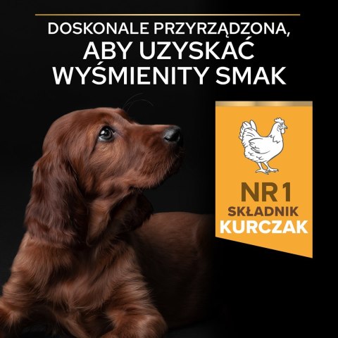 PURINA PRO PLAN Puppy Large Athletic - sucha karma dla szczeniąt - 12 kg PURINA PRO PLAN Puppy Large Athletic - sucha karma dla szczeniąt - 12 kg
