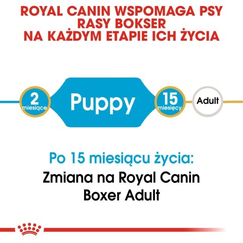 ROYAL CANIN BHN Boxer Puppy - sucha karma dla szczeniąt rasy boxer - 12 kg ROYAL CANIN BHN Boxer Puppy - sucha karma dla szczeniąt rasy boxer - 12 kg