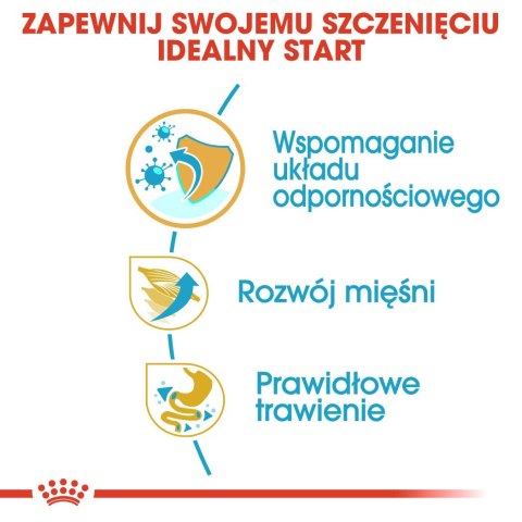 ROYAL CANIN BHN Boxer Puppy - sucha karma dla szczeniąt rasy boxer - 12 kg ROYAL CANIN BHN Boxer Puppy - sucha karma dla szczeniąt rasy boxer - 12 kg