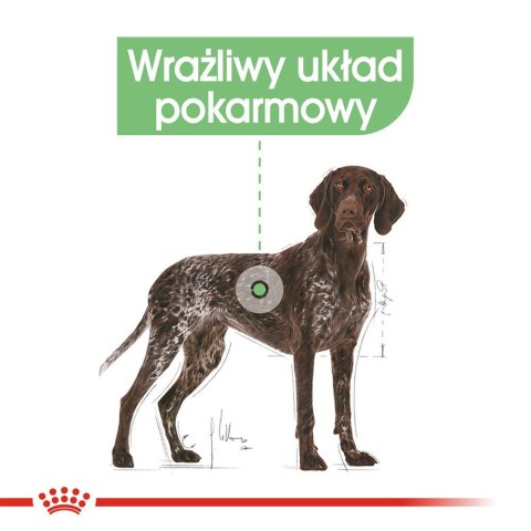 ROYAL CANIN CCN MAXI DIGESTIVE CARE - sucha karma dla psa dorosłego - 3kg (WYPRZEDAŻ) ROYAL CANIN CCN MAXI DIGESTIVE CARE - sucha karma dla psa dorosłego - 3kg (WYPRZEDAŻ)