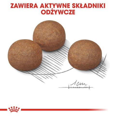 ROYAL CANIN CCN MAXI DIGESTIVE CARE - sucha karma dla psa dorosłego - 3kg (WYPRZEDAŻ) ROYAL CANIN CCN MAXI DIGESTIVE CARE - sucha karma dla psa dorosłego - 3kg (WYPRZEDAŻ)