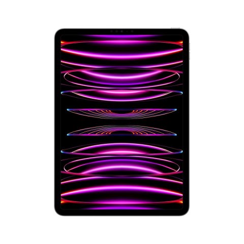 Apple 11-inch iPad Pro (4 gen.) Wi-Fi 2TB Space Grey