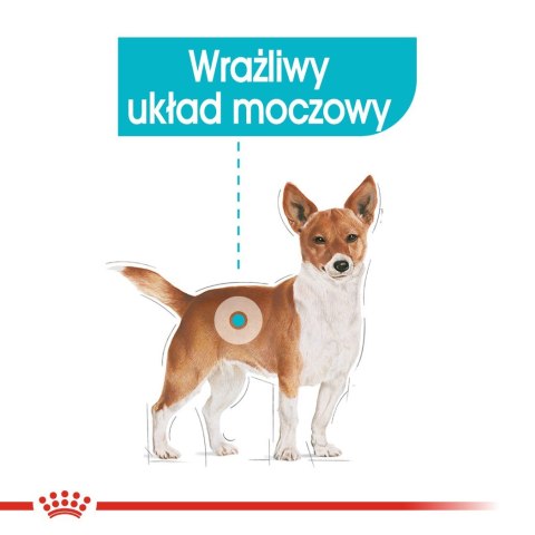 ROYAL CANIN CCN Urinary Care Loaf - mokra karma dla psa dorosłego - 12x85g ROYAL CANIN CCN Urinary Care Loaf - mokra karma dla psa dorosłego - 12x85g