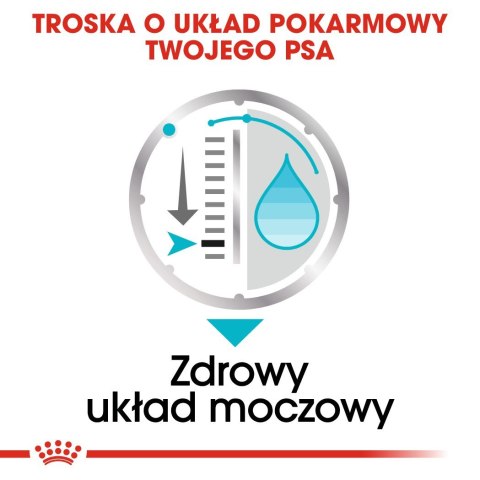 ROYAL CANIN CCN Urinary Care Loaf - mokra karma dla psa dorosłego - 12x85g ROYAL CANIN CCN Urinary Care Loaf - mokra karma dla psa dorosłego - 12x85g