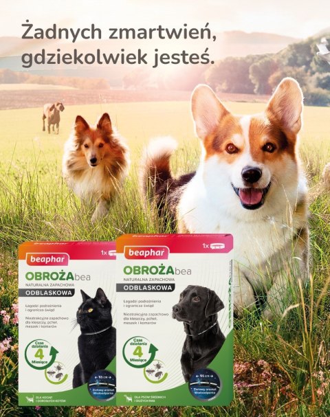 BEAPHAR Bea Odblaskowa obroża przeciw pchłom i kleszczom - 65 cm BEAPHAR Bea Odblaskowa obroża przeciw pchłom i kleszczom - 65 cm