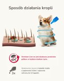 BEAPHAR VERMIcon Line-on Dog L - krople przeciw pasożytom dla psa - 3x 4,5ml