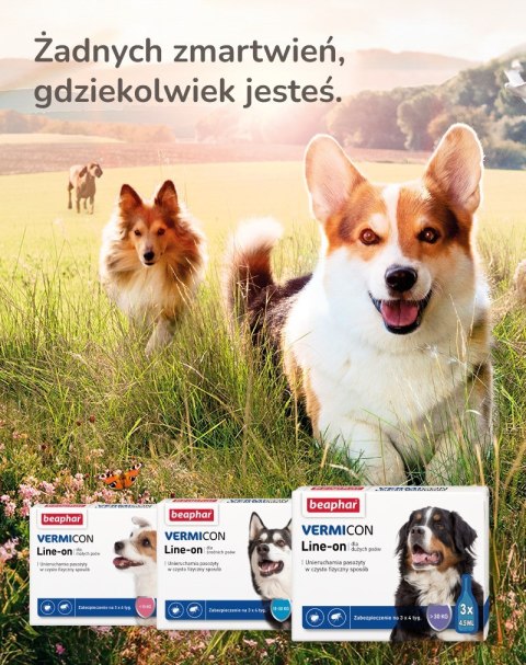 BEAPHAR VERMIcon Line-on Dog L - krople przeciw pasożytom dla psa - 3x 4,5ml BEAPHAR VERMIcon Line-on Dog L - krople przeciw pasożytom dla psa - 3x 4,5ml