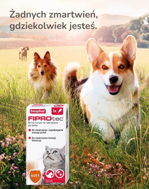 Beaphar FIPROtec Krople dla kota S 50mg x1 Beaphar FIPROtec Krople dla kota S 50mg x1