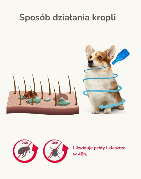 Beaphar FIPROtec Krople dla psa L 268mg x1 Beaphar FIPROtec Krople dla psa L 268mg x1