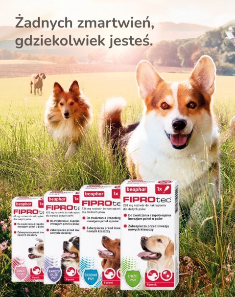 Beaphar FIPROtec Krople dla psa L 268mg x1 Beaphar FIPROtec Krople dla psa L 268mg x1