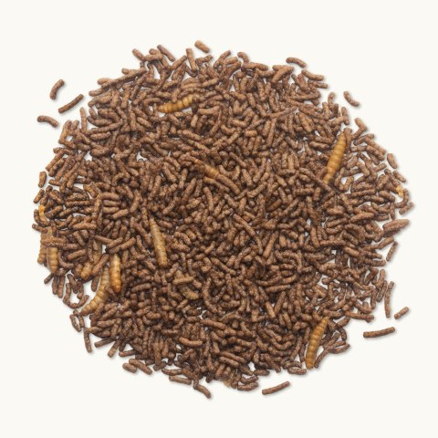 Beaphar kompletna karma dla jeży 1 kg Beaphar kompletna karma dla jeży 1 kg