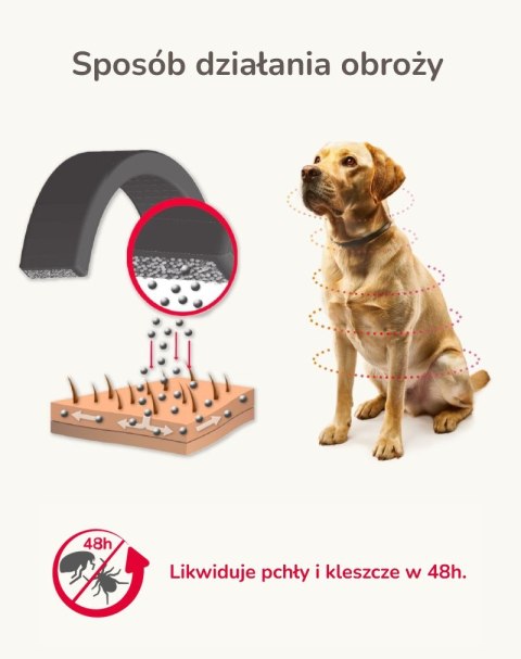 Beaphar obroża biobójcza na pchły i kleszcze mały średni pies dług.50cm Beaphar obroża biobójcza na pchły i kleszcze mały średni pies dług.50cm
