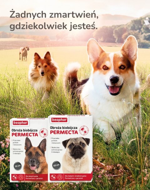 Beaphar obroża biobójcza na pchły i kleszcze mały średni pies dług.50cm Beaphar obroża biobójcza na pchły i kleszcze mały średni pies dług.50cm