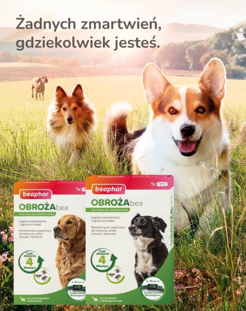 Beaphar obroża ochronna na kleszcze pchły dla psa rozm.S Beaphar obroża ochronna na kleszcze pchły dla psa rozm.S