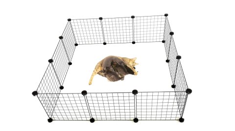 C&C Wybieg, kojec modułowy dla szczeniąt i małych psów - 145x75 cm (4x2; 3x3) C&C Wybieg, kojec modułowy dla szczeniąt i małych psów - 145x75 cm (4x2; 3x3)