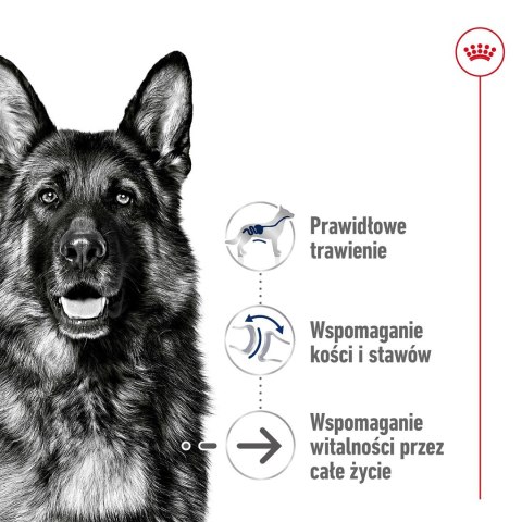 Karma Royal Canin Dog Food Maxi Ageing (15 kg ) Karma Royal Canin Dog Food Maxi Ageing (15 kg )