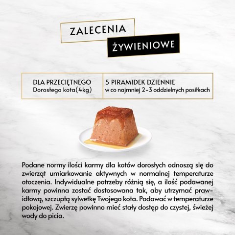 PURINA Gourmet Revelations Łosoś - mokra karma dla kota - 2x57 g PURINA Gourmet Revelations Łosoś - mokra karma dla kota - 2x57 g
