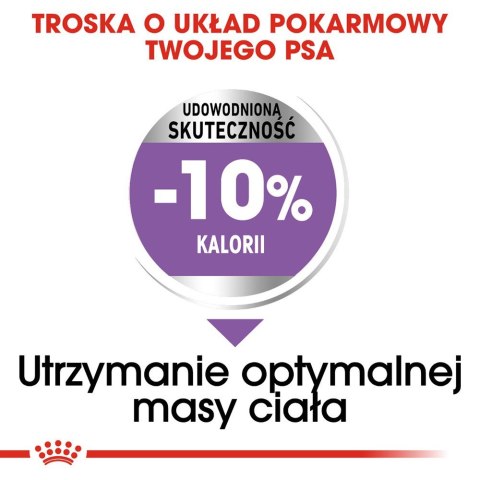 ROYAL CANIN CCN Medium Sterilised - sucha karma dla psa dorosłego - 3kg ROYAL CANIN CCN Medium Sterilised - sucha karma dla psa dorosłego - 3kg