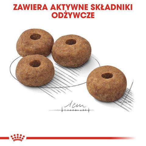 ROYAL CANIN CCN Medium Sterilised - sucha karma dla psa dorosłego - 3kg ROYAL CANIN CCN Medium Sterilised - sucha karma dla psa dorosłego - 3kg