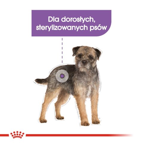 ROYAL CANIN Mini Sterilised - sucha karma dla psa - 1kg ROYAL CANIN Mini Sterilised - sucha karma dla psa - 1kg