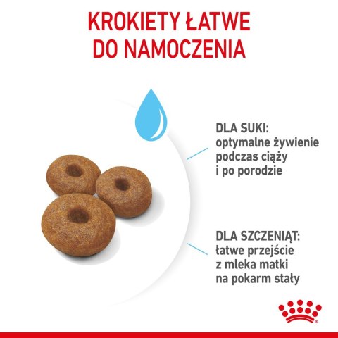 ROYAL CANIN SHN Maxi Starter Mother & Babydog - sucha karma dla psa - 4 kg ROYAL CANIN SHN Maxi Starter Mother & Babydog - sucha karma dla psa - 4 kg