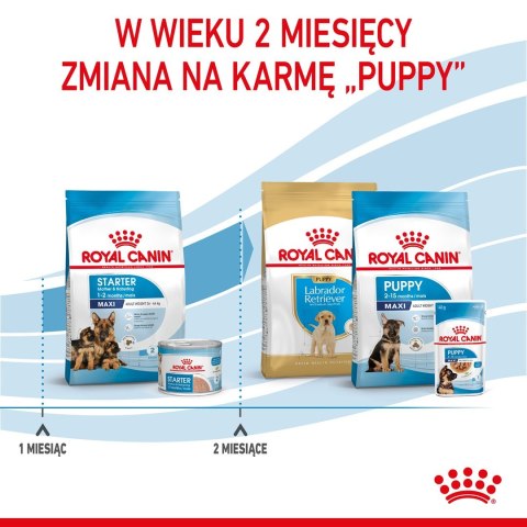 ROYAL CANIN SHN Maxi Starter Mother & Babydog - sucha karma dla psa - 4 kg ROYAL CANIN SHN Maxi Starter Mother & Babydog - sucha karma dla psa - 4 kg