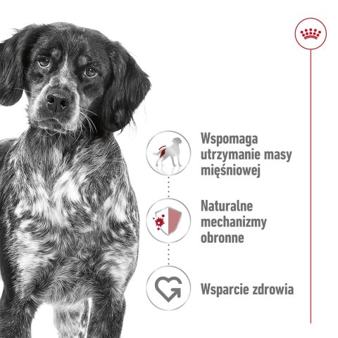 ROYAL CANIN SHN Medium Adult BF 15kg ROYAL CANIN SHN Medium Adult BF 15kg